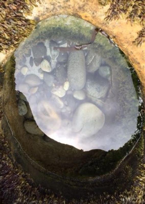 Een droom werd werkelijkheid