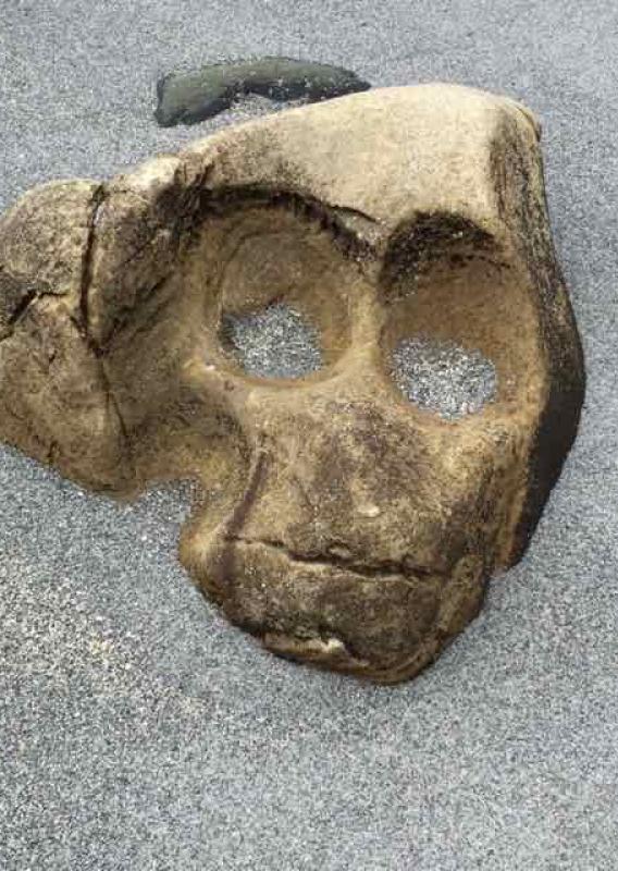 Een droom werd werkelijkheid