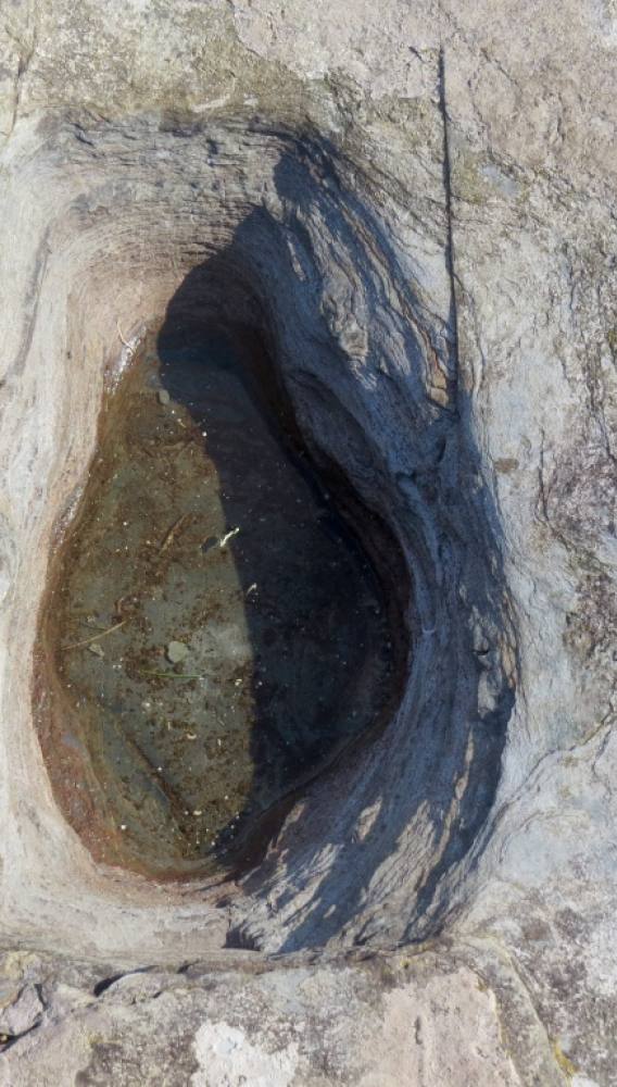 De ring van de Liefde