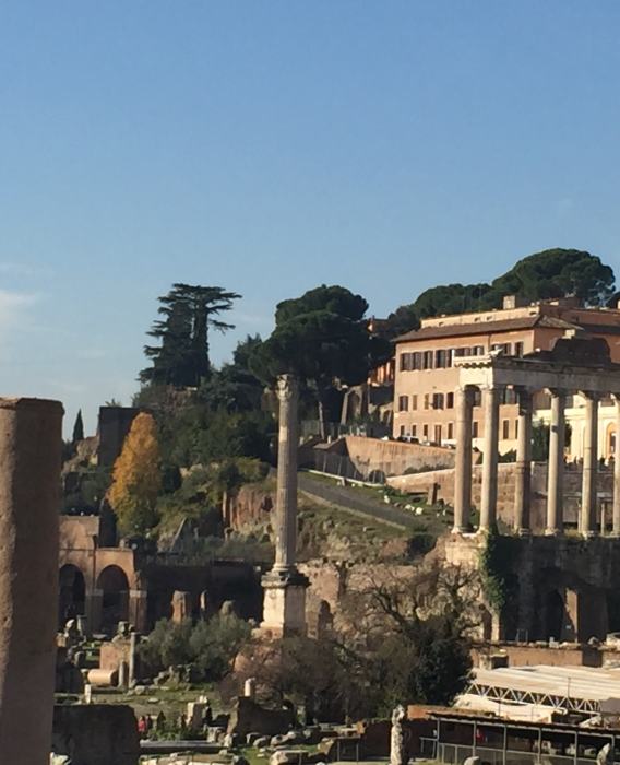 My return to Italy in  December_1895