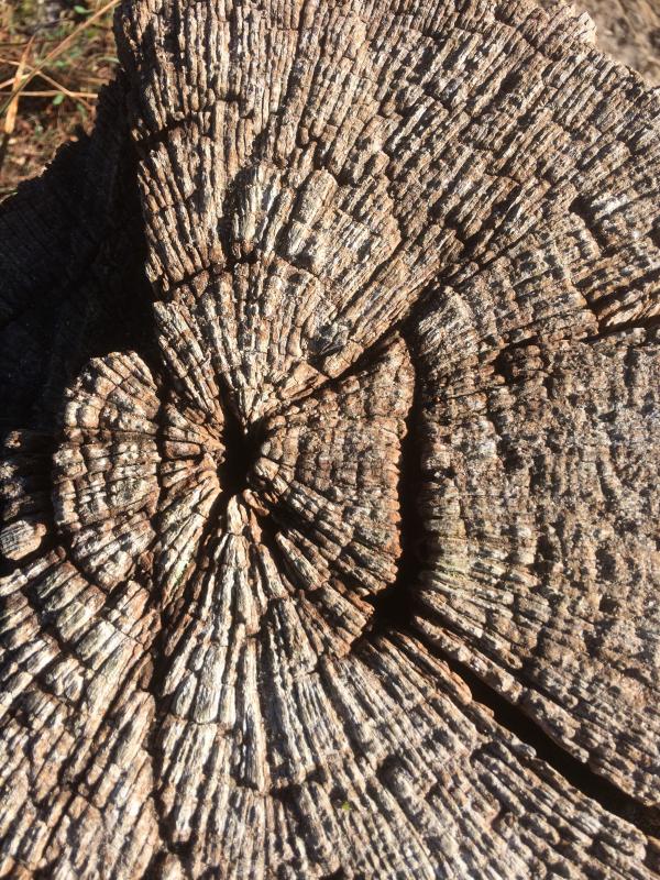 The way in my life to a deeper form of vulnerability To be… completely ME, honest and transparent.._1867