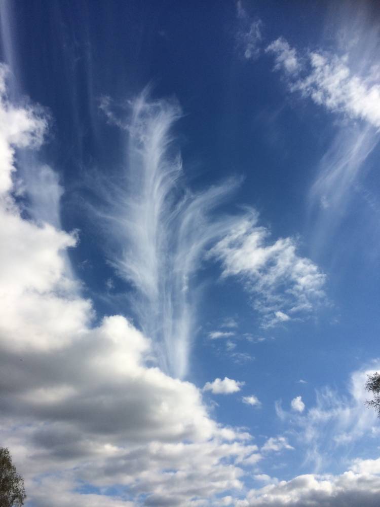 The way in my life to a deeper form of vulnerability To be… completely ME, honest and transparent.._1865