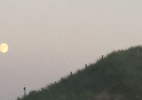 De ring van de Liefde