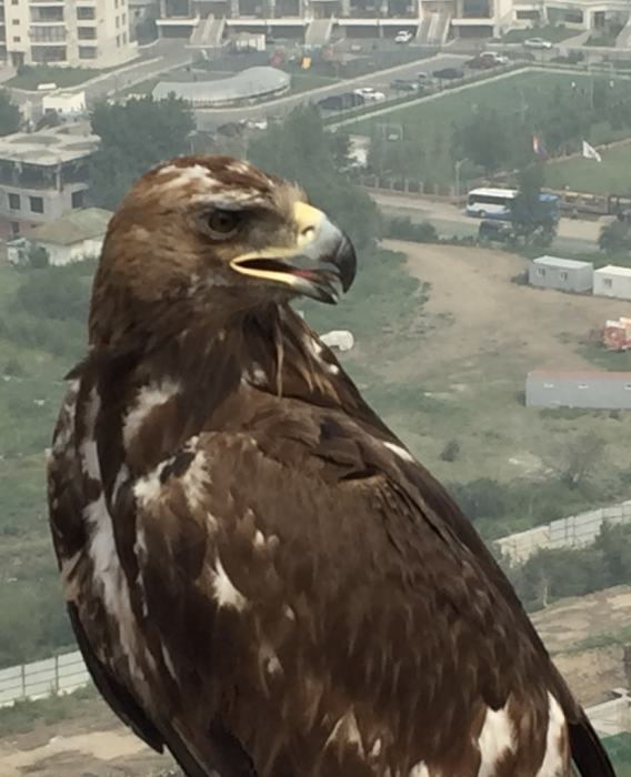 Together with Mongols through North West Mongolia_2063