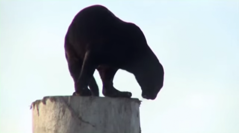 Innerlijke transformatie