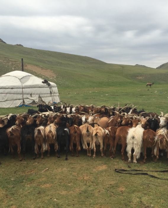 Together with Mongols through North West Mongolia_2057