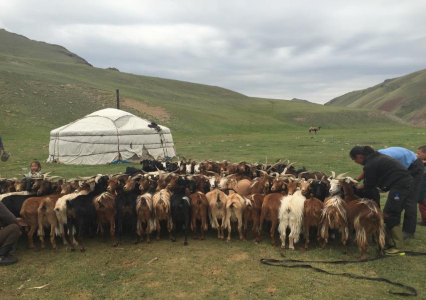 Together with Mongols through North West Mongolia_2057