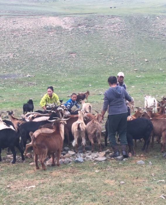 Together with Mongols through North West Mongolia_95