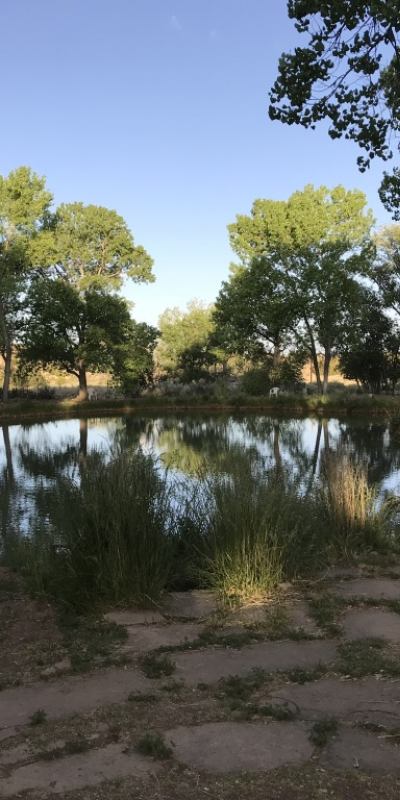 The 13 Original Clan Mothers_2127