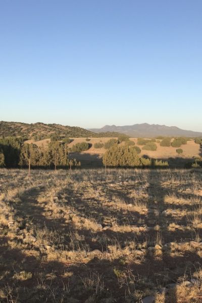 The Old Man Speaks_2078