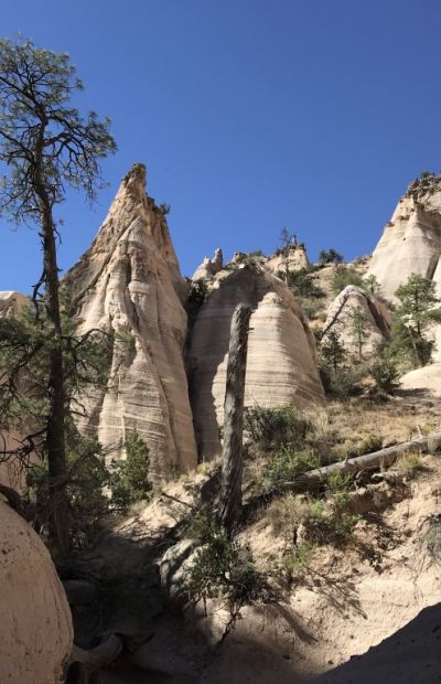 The Old Man Speaks_2081