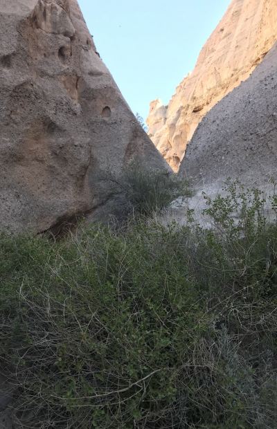 The Old Man Speaks_2076