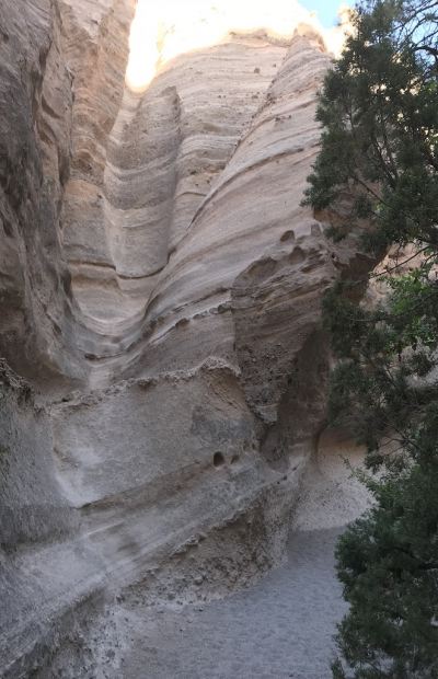 The Old Man Speaks_2077