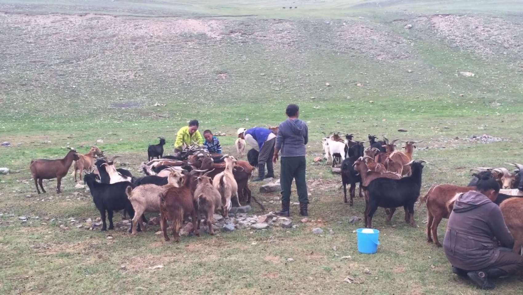 Together with Mongols through North West Mongolia_100